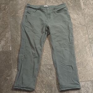 Loft Casual Sage Green Pants